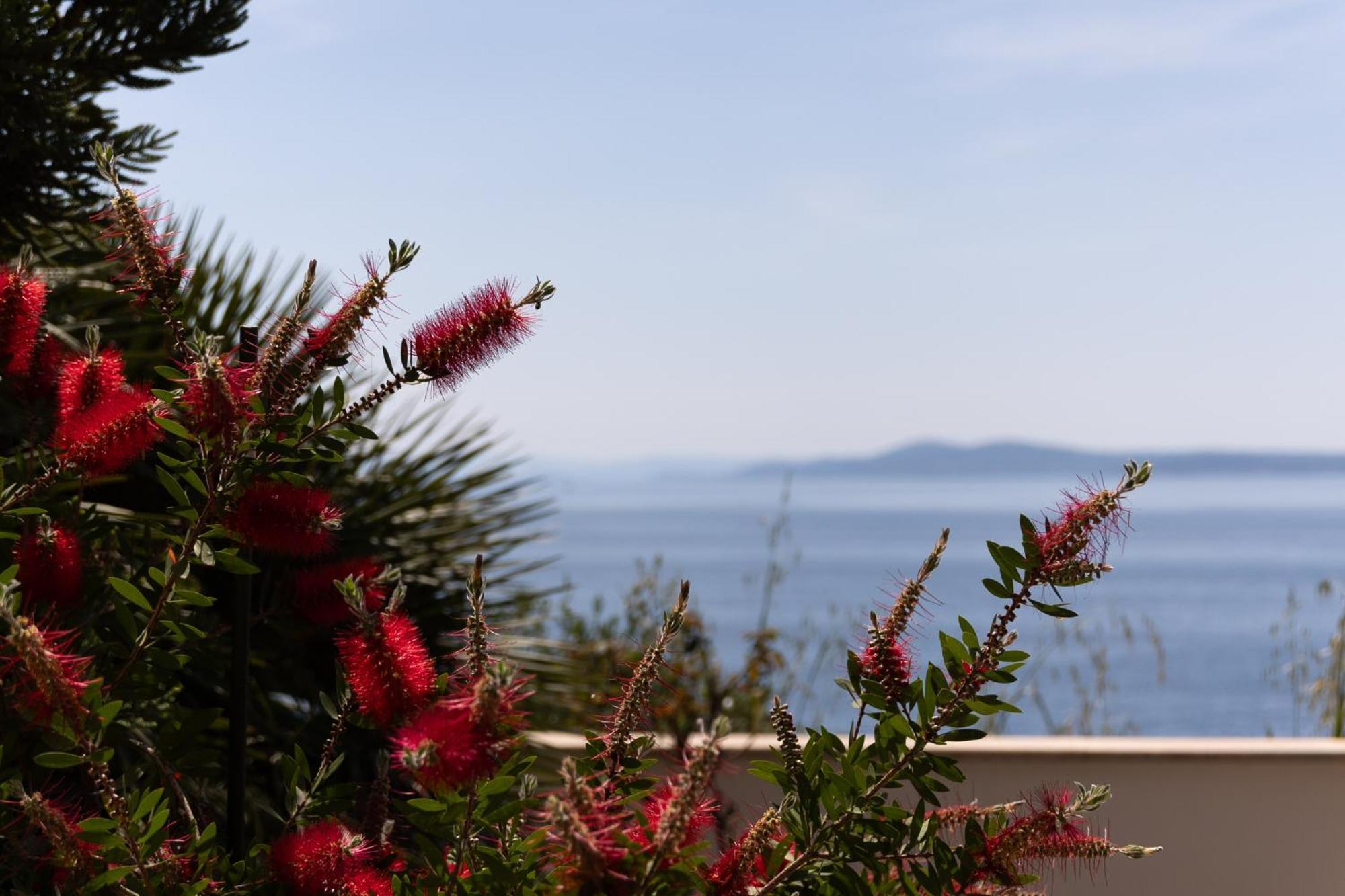 Apartments Wisibada Trogir Zewnętrze zdjęcie